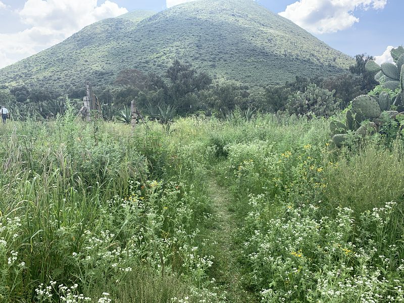 Campos verdes al pie del cerro, cerca de los ojos de agua del Tecajete, Hidalgo