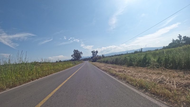 Campos de cultivo en el camino a la Hacienda La Sauceda, Jalisco