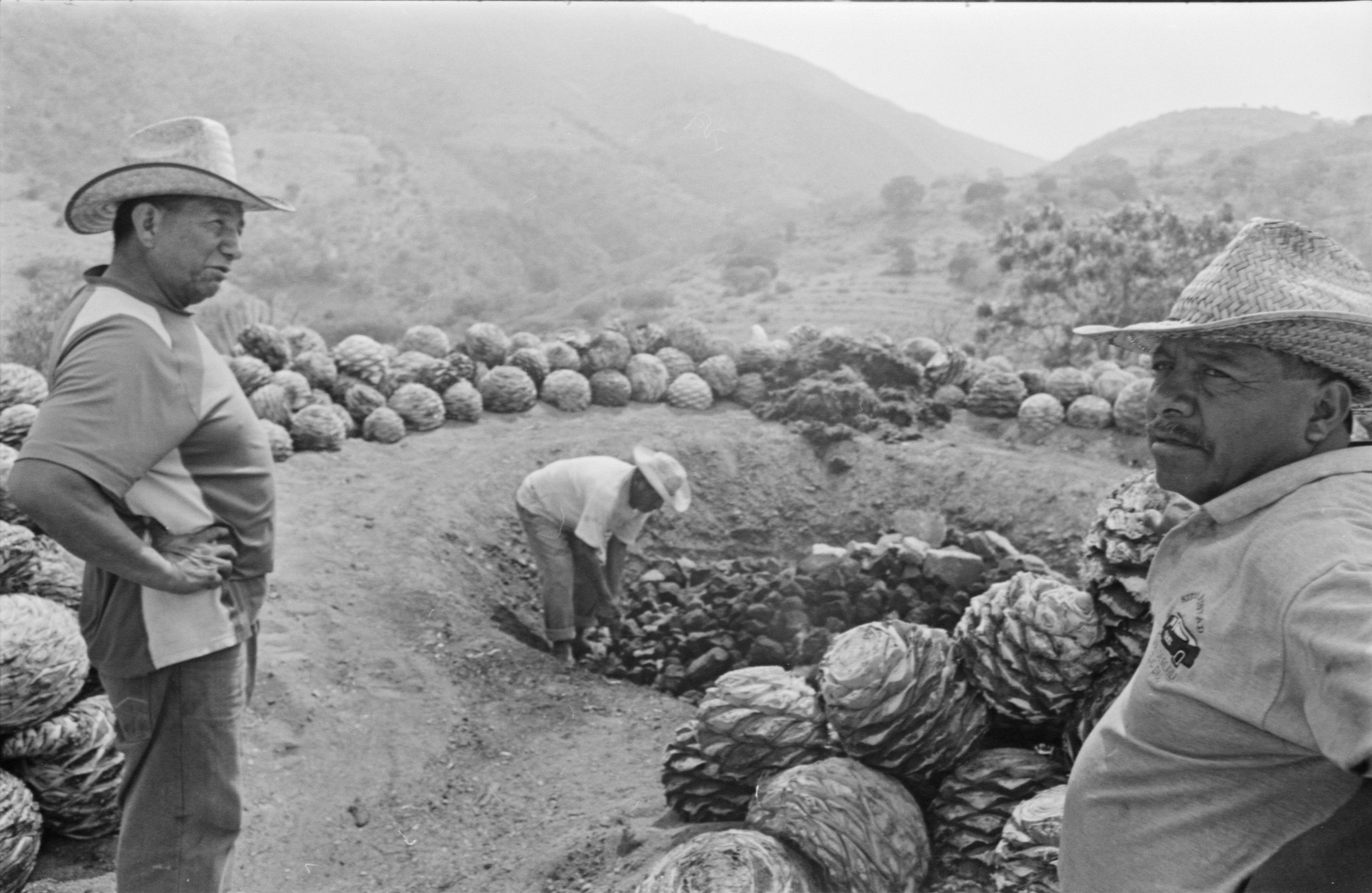 Elaboración Artesanal de Mezcal Tobalá en San Baltazar Guelavila, Oaxaca 2019