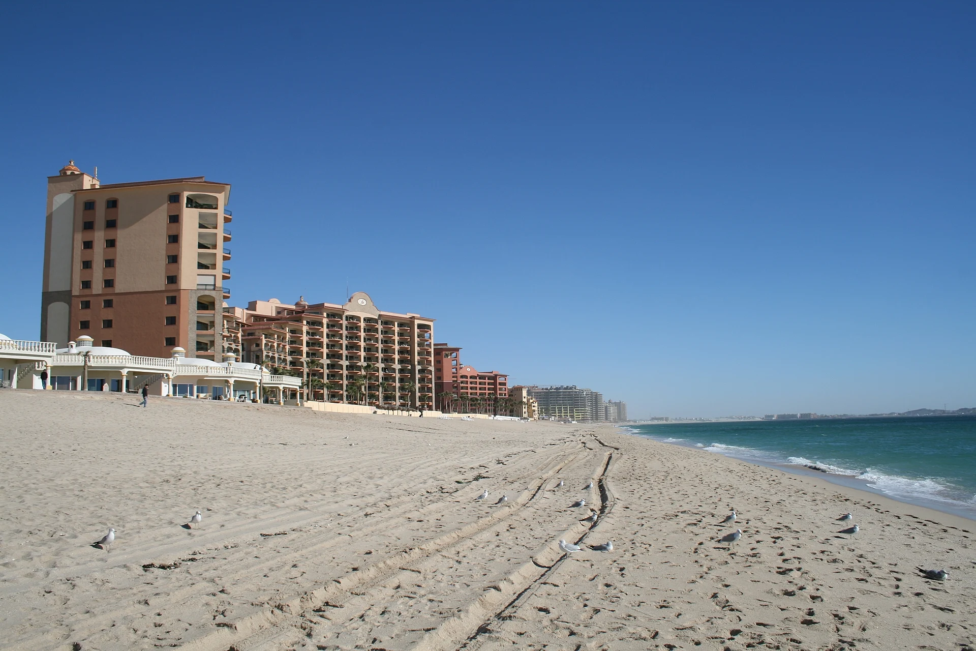 Torres de resorts a lo largo de la arena ancha de Sandy Beach, en Puerto Peñasco, con gaviotas y el mar de Cortés a la derecha, Sonora