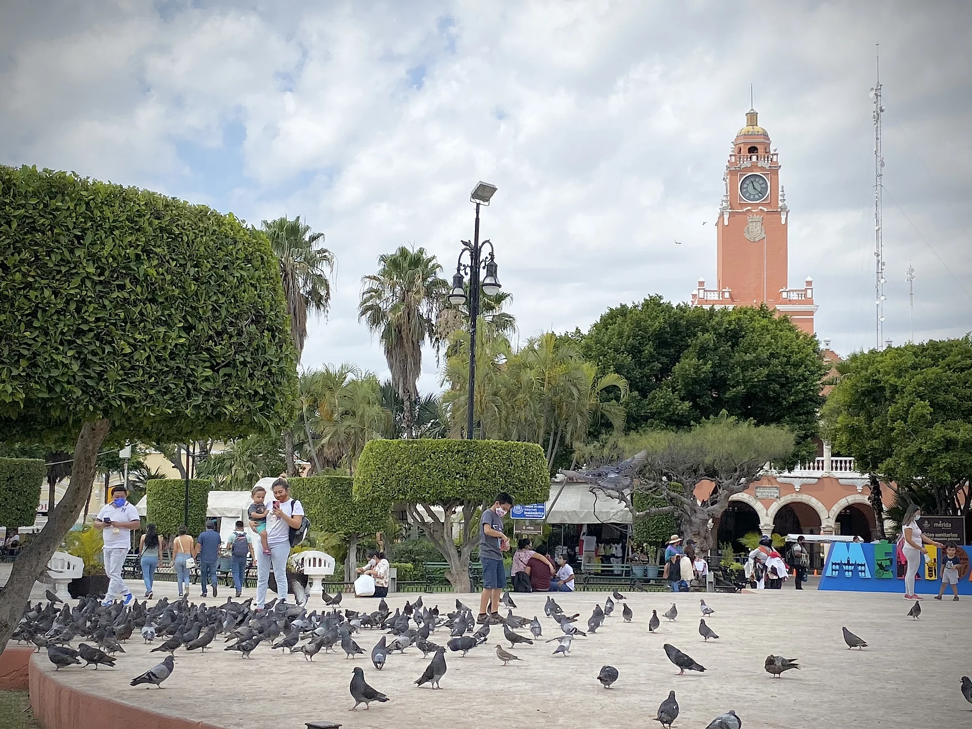 Árboles, bancas y palomas en la Plaza Grande de Mérida, con la torre del reloj del Palacio Municipal al fondo, Yucatán
