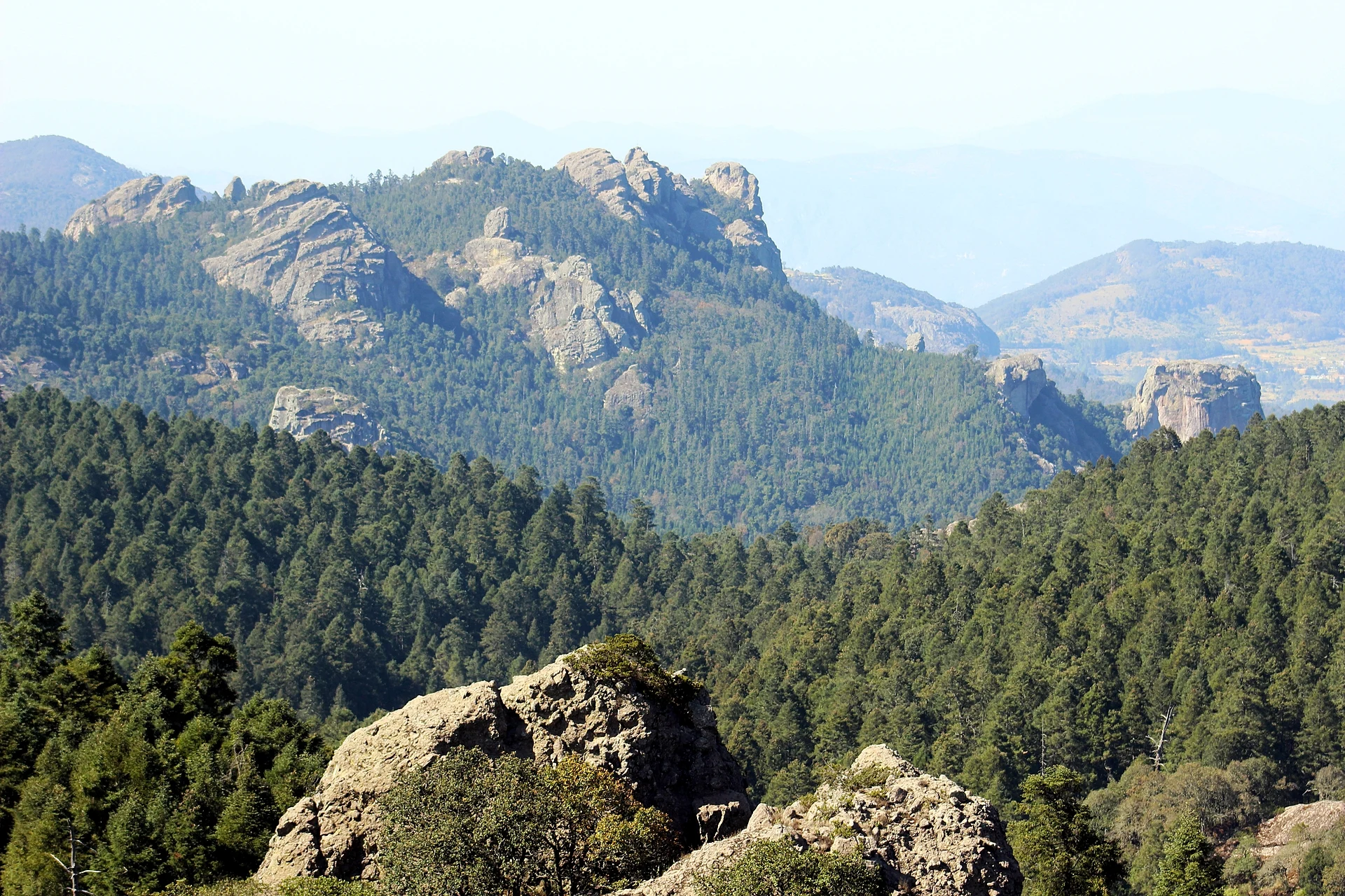 Fir forest and rock towers of El Chico National Park, around Presa El Jaramillo, Hidalgo