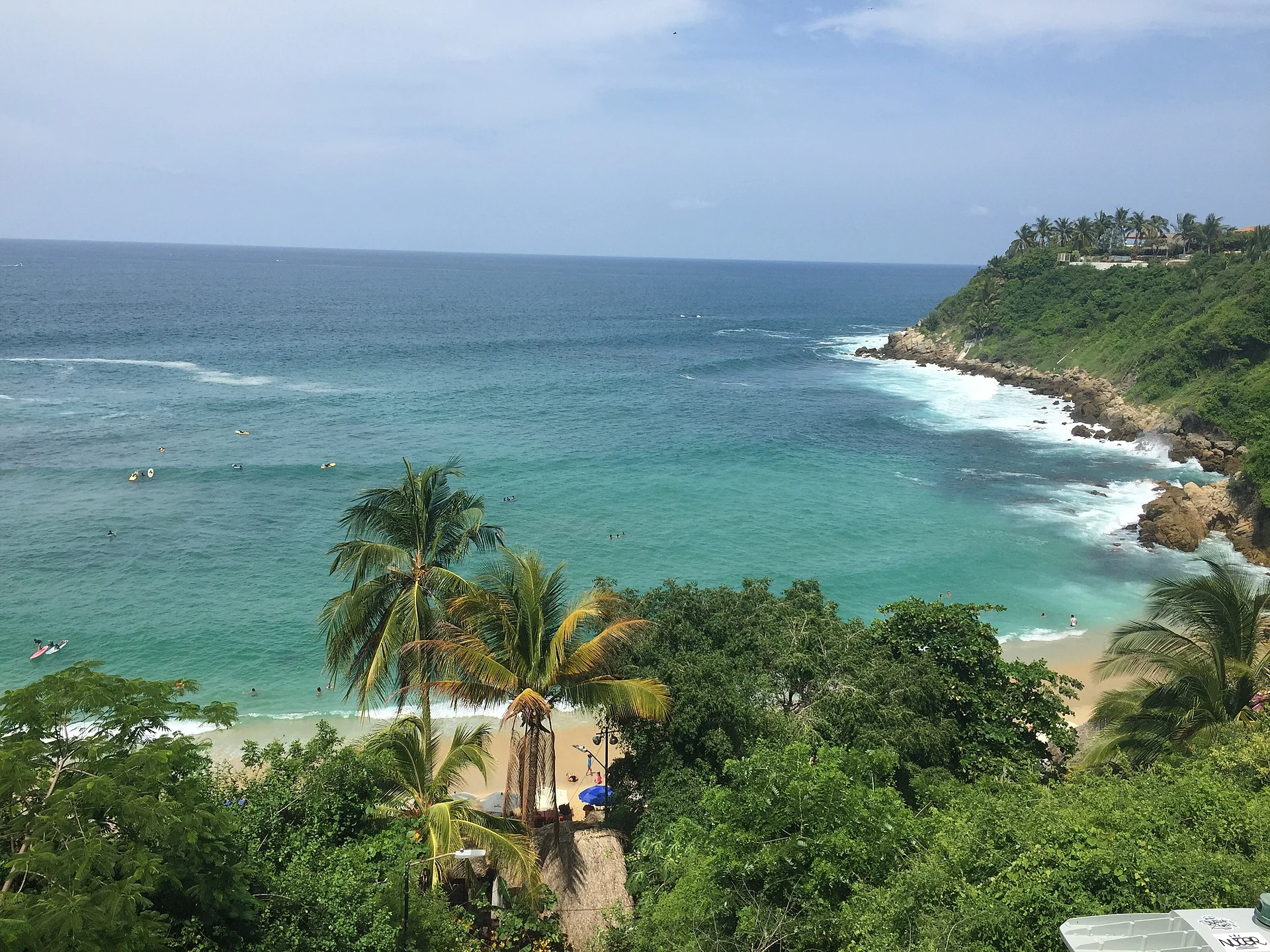 The small cove of Playa Carrizalillo seen from above, with palm trees, green headlands and swimmers in the water, Oaxaca