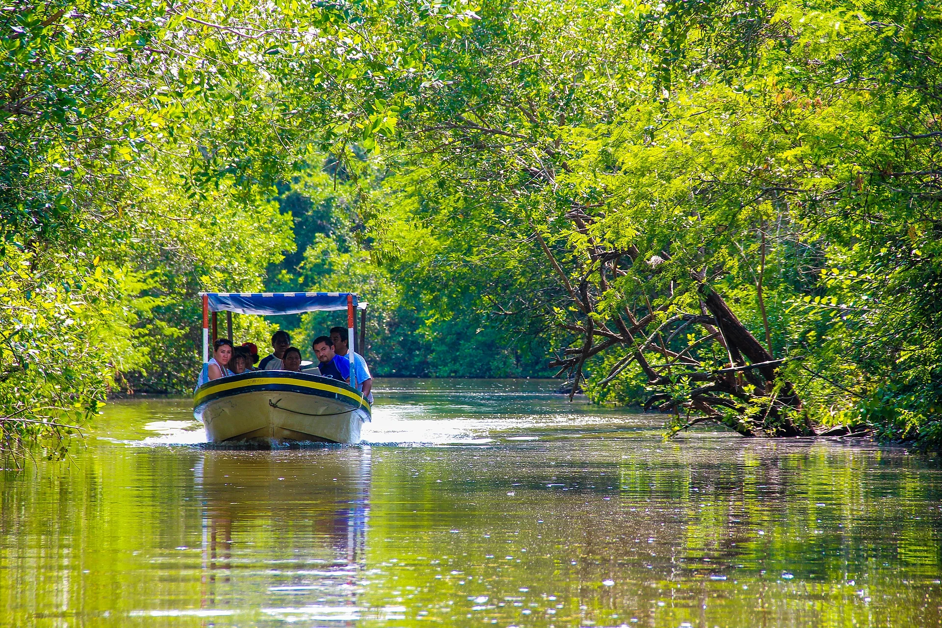 A covered tour boat with passengers gliding along a green mangrove channel of the Laguna de Tres Palos, Guerrero
