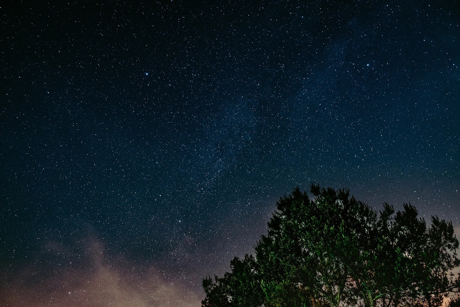 The Milky Way over a tree at Canto del Bosque, one of the firefly-viewing centres in the Nanacamilpa forest near San Felipe Hidalgo, Santuario de las Luciérnagas, Tlaxcala