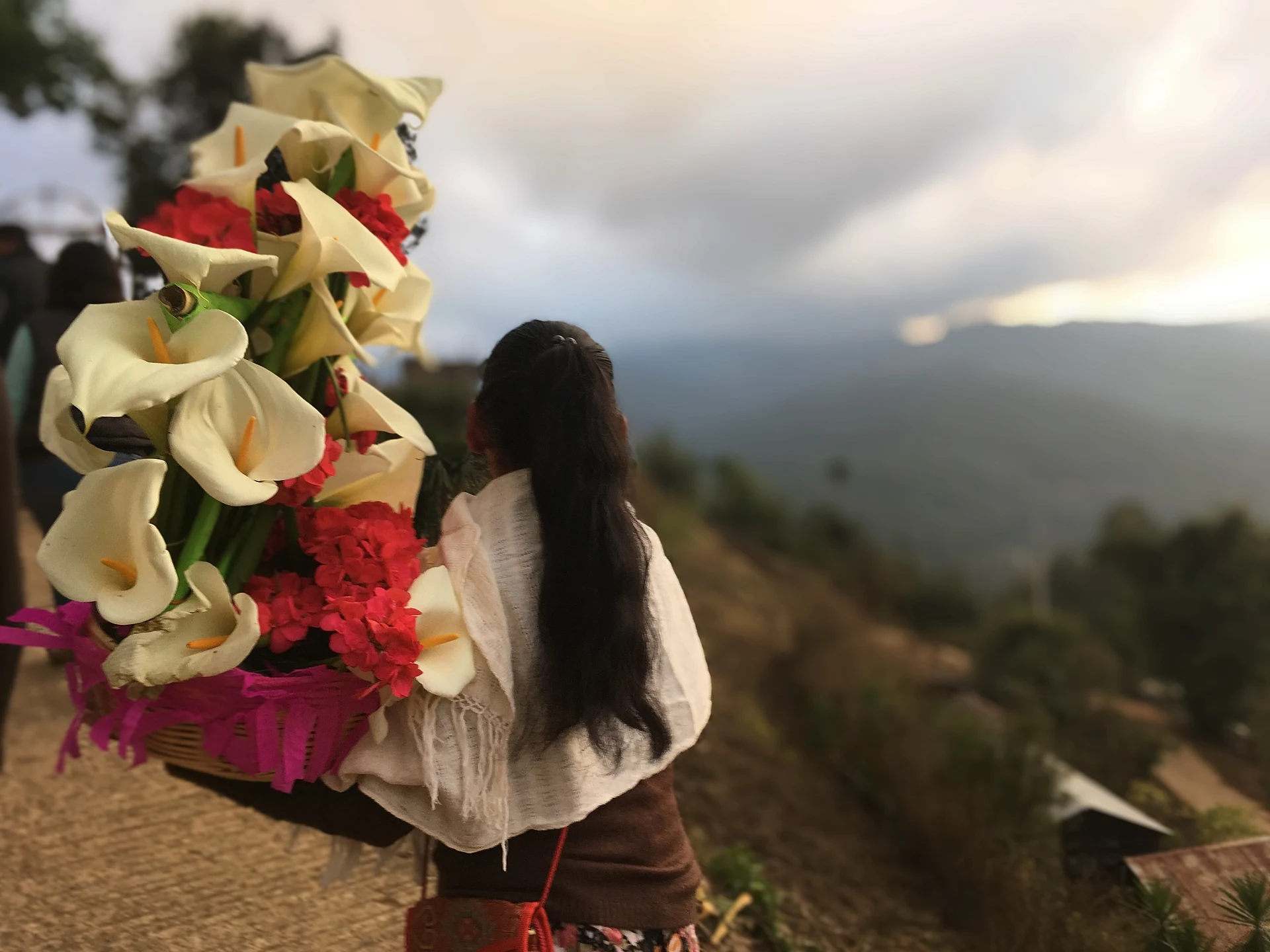 Una mujer con alcatraces en una calenda de las fiestas de San Mateo Río Hondo, con la sierra boscosa al fondo, Oaxaca