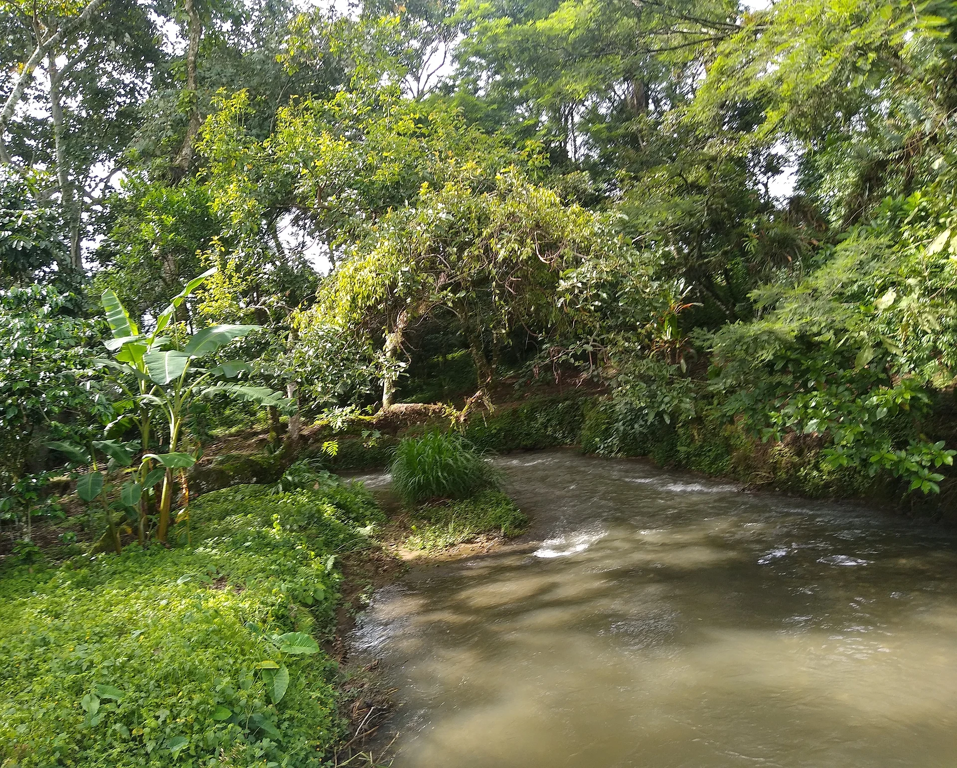 Arroyo en Moyoapan, Ixtaczoquitlán, Veracruz 01 (cropped)