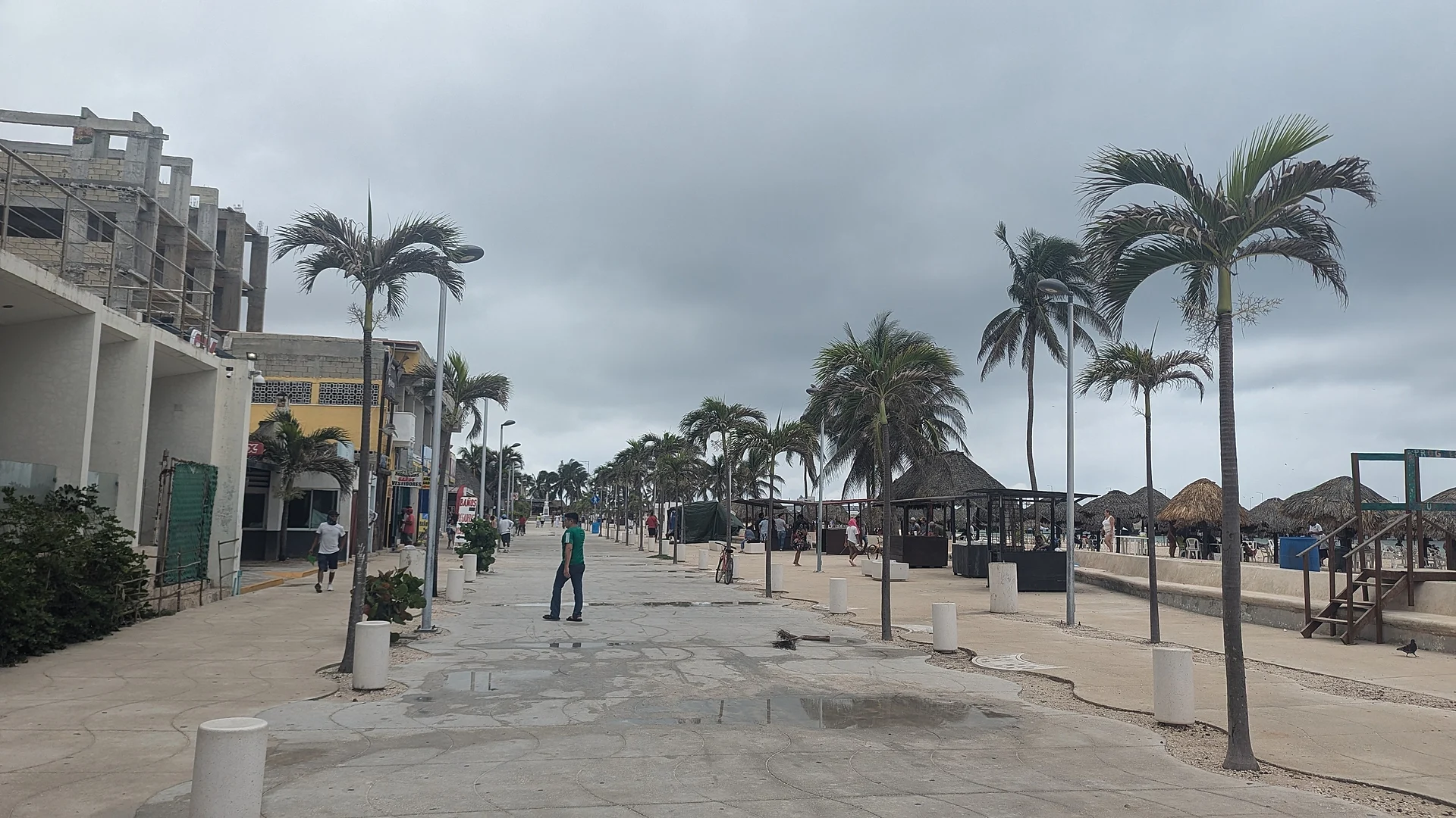 The palm-lined beach road, Calle 19, in Progreso, Yucatán