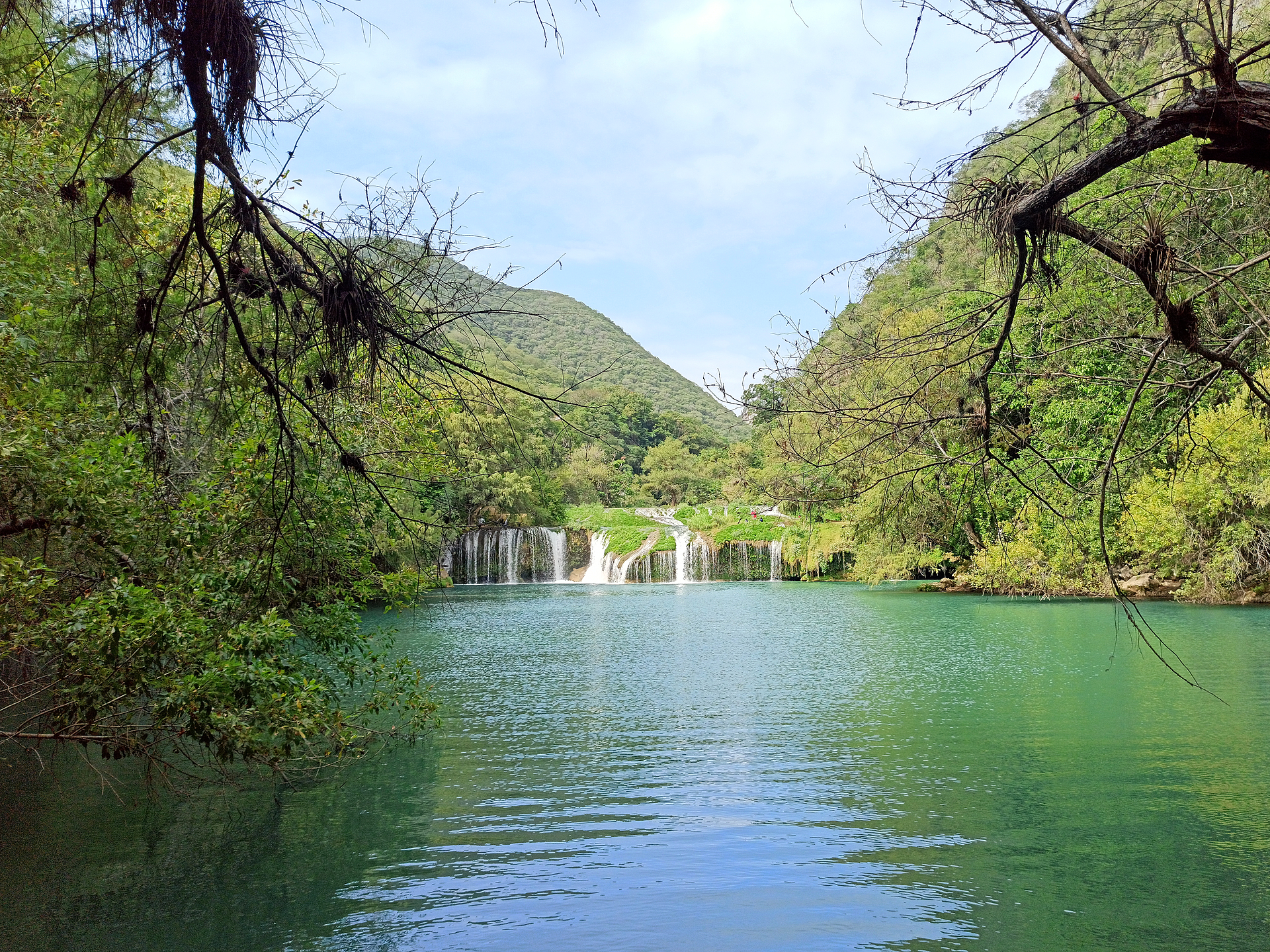 Una hilera de pequeñas cascadas blancas que caen a una amplia poza turquesa, entre árboles y cerros verdes, Cascadas de Micos, San Luis Potosí