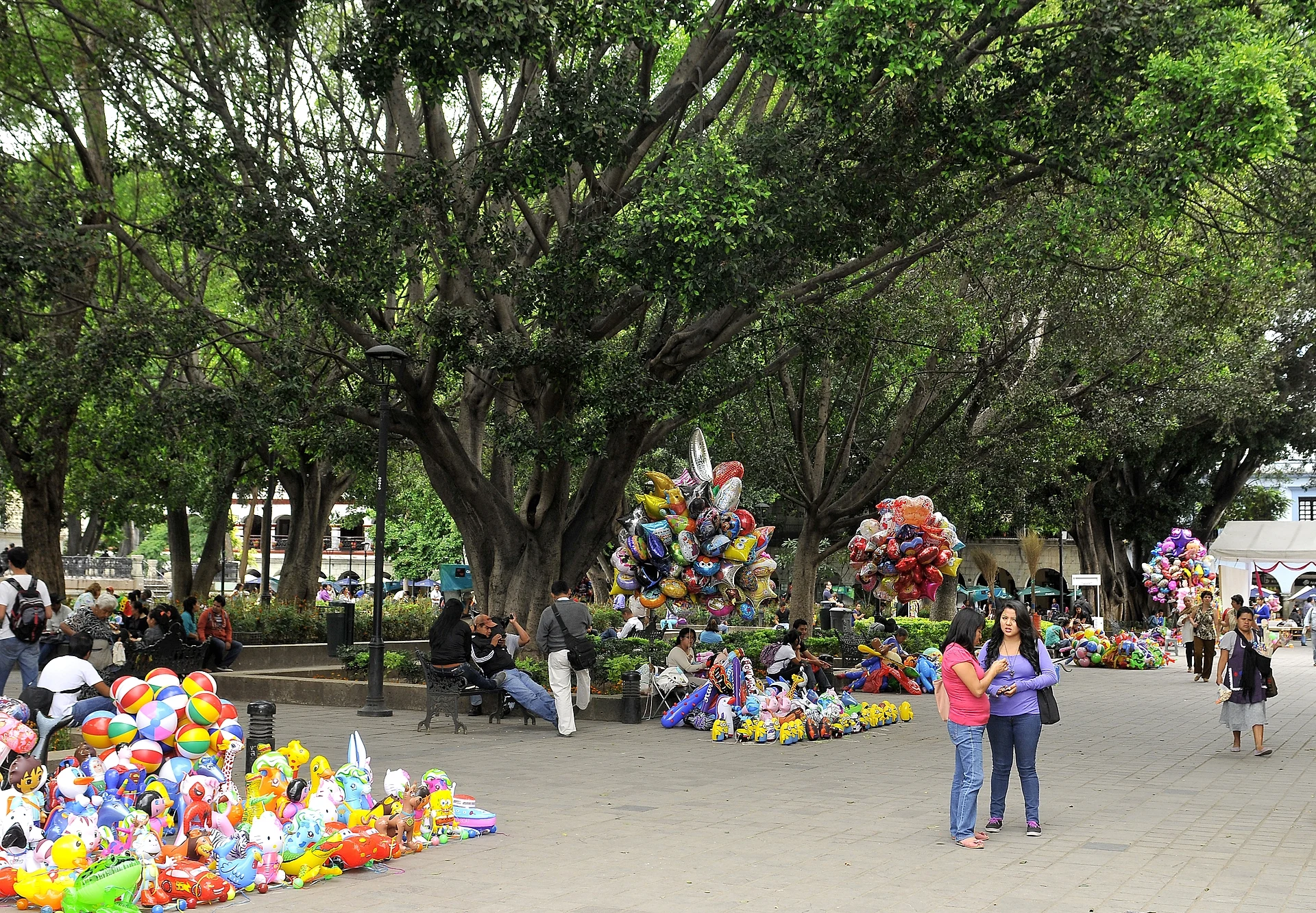 Vendedores de globos y paseantes bajo los grandes laureles del Zócalo de Oaxaca
