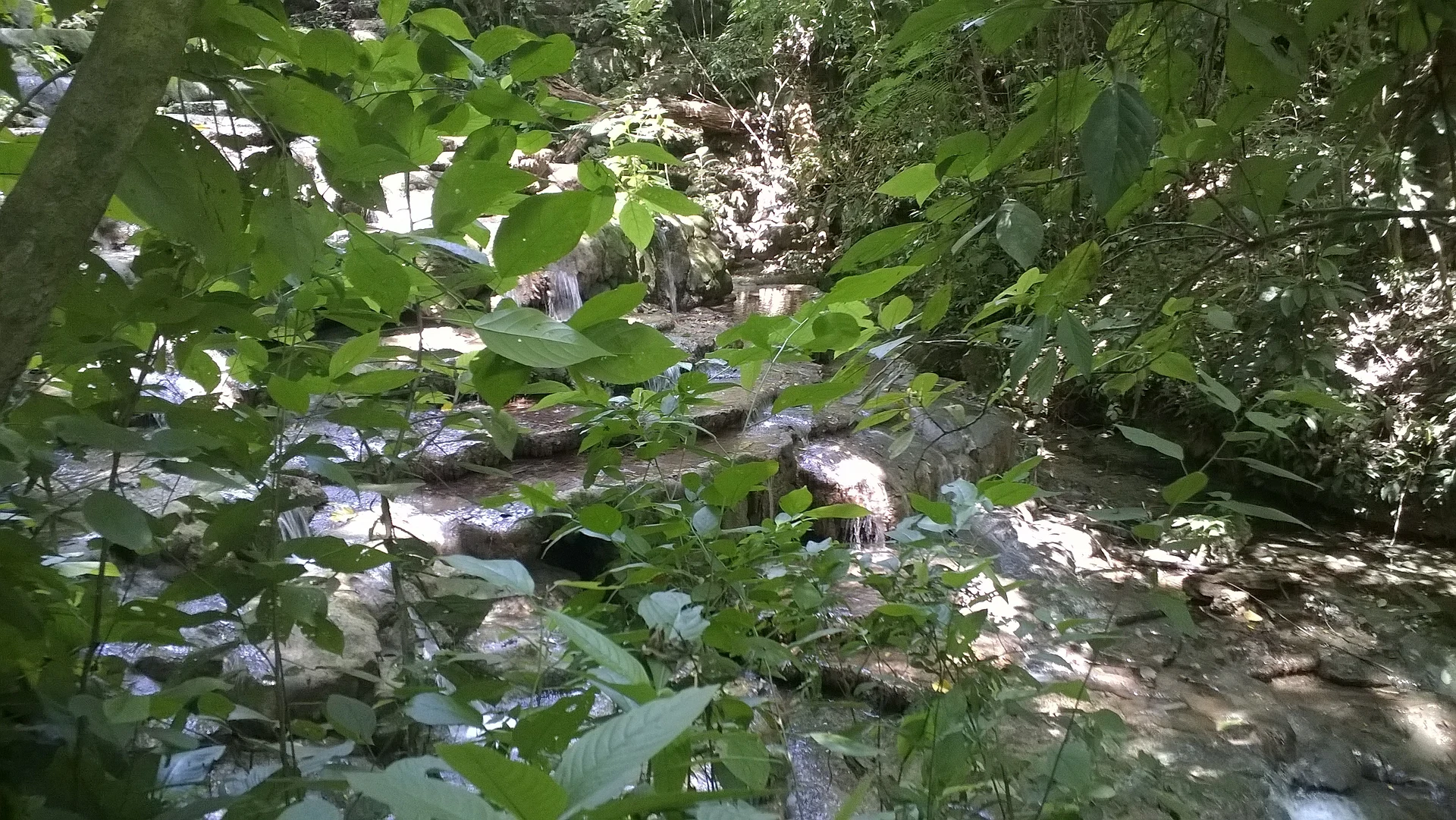 A rainforest stream in Palenque National Park, beside the Motiepá trail, Cascada Motiepá, Chiapas