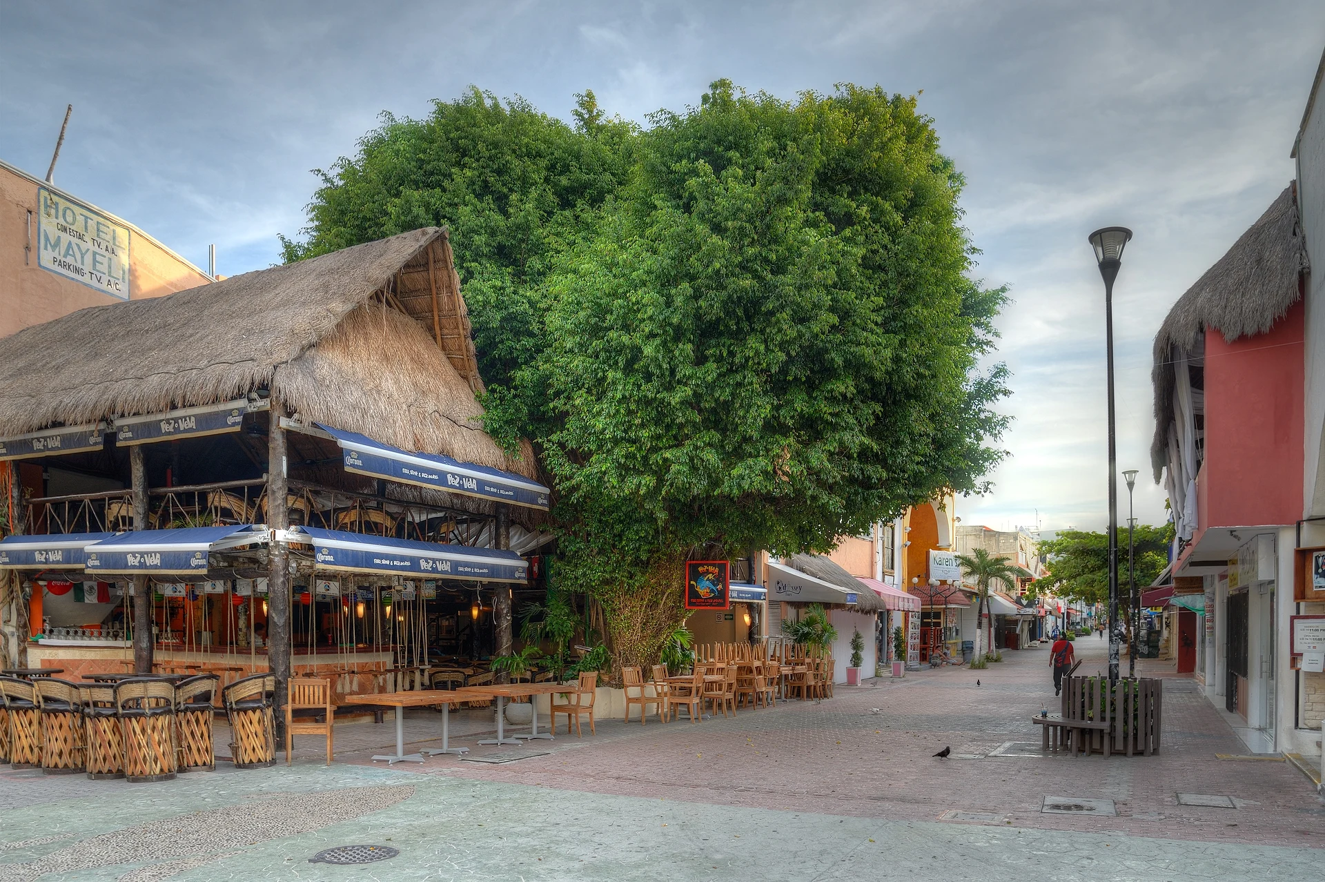 Restaurantes con techos de palapa y un gran árbol en la Quinta Avenida, Quintana Roo