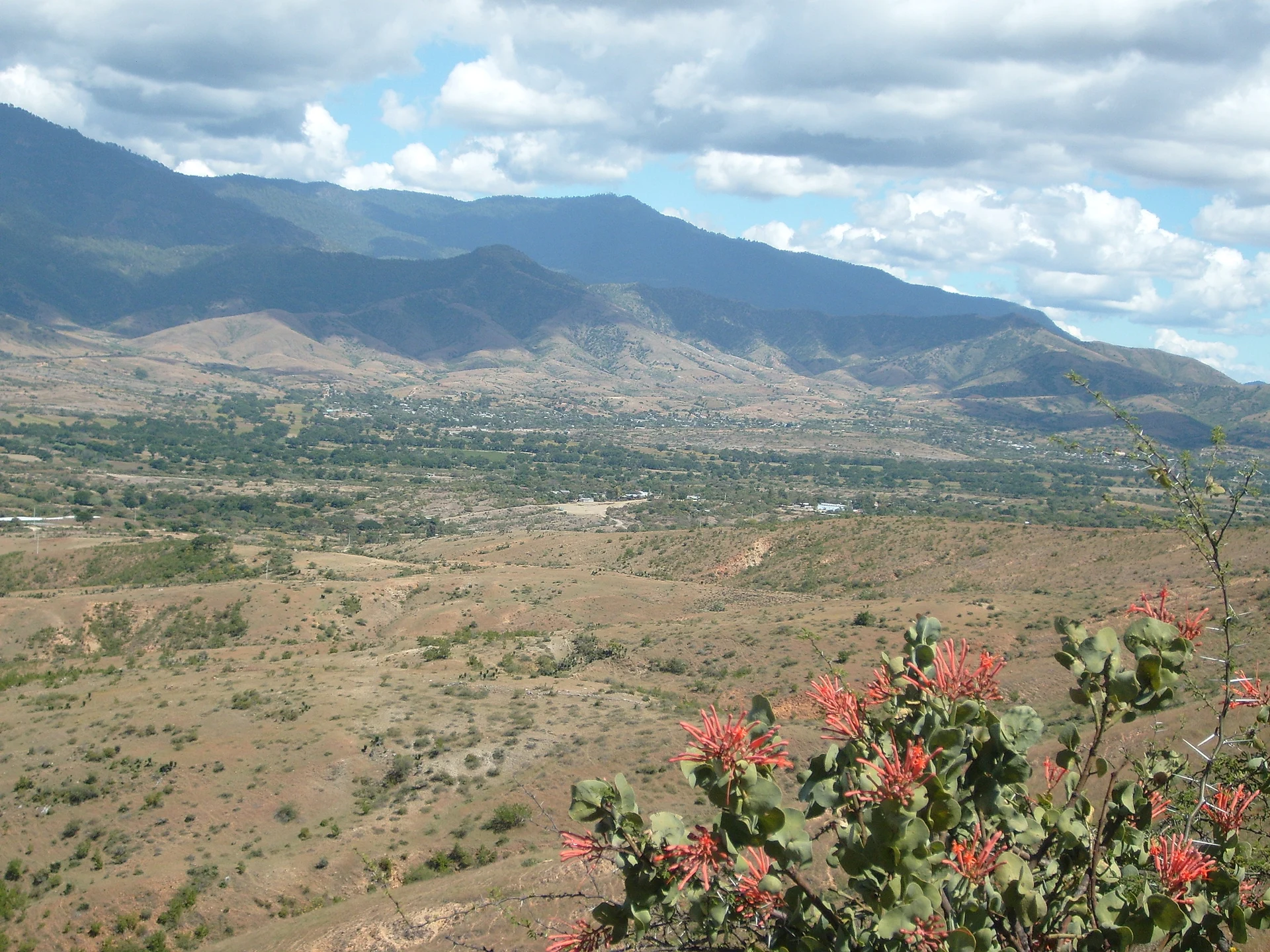 Parasita con vista a Coatecas Altas, Oaxaca